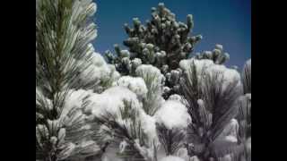 AUSTRIA-9500-VILLACH-DOBRATSCH-2009-FOTO-18-DICEMBRE-2009 382.avi