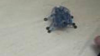 Hexbug Microrobotic Creature  Hands On