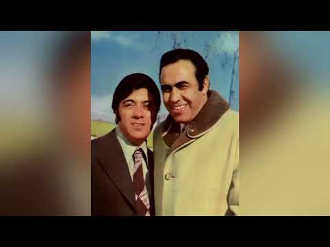 تحلیل دستگاه همایون با آواز ایرج