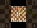 Vienna Gambit!#chess
