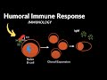 Immunology Overview - YouTube