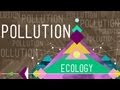 Pollution: Crash Course Ecology #11