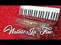 Natale in fisa - Traditional accordion Christmas music