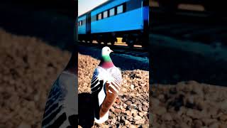 "The Pigeon and the Mango: A Narrow Escape on the Railway Track!" #shorts #ai #mangoJune 7, 2025