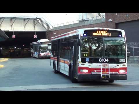 TTC - Eglinton Station Bus Terminal |  Compilation Video #2