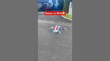 How to save drone from birds attack? #drone #dronevsbird #birds #travel #information #dronevideo
