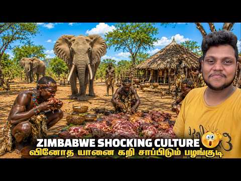 வினோத Zimbabwe யானை சாப்பிடும் பழங்குடி | Zimbabwe EP 4