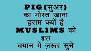 Islam mein suar ka gosht khane ki mumaaniyat kyun nahi