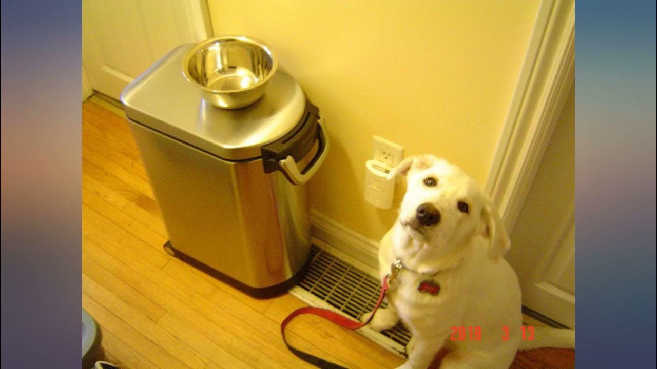 simplehuman 30 Liter, 32 lb // 14.5 kg Large Pet Food Storage Container