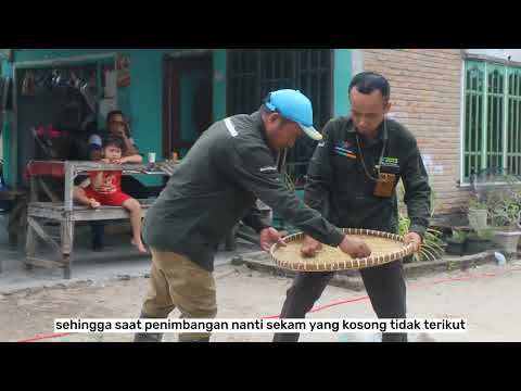 Panen Padi dengan Penerapan Standar GAP (Good Agriculture Practices)