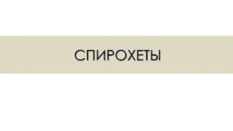 СПИРОХЕТЫ. ТРЕПОНЕМЫ (Treponema pallidum). БОРРЕЛИИ (B. burgdorferi). ЛЕПТОСПИРЫ (L. Interrogans).