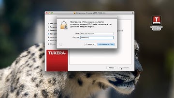 Как использовать NTFS на Mac