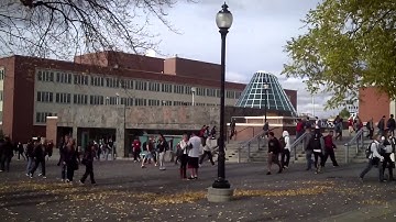 WSU Com 210 Tutorial 1