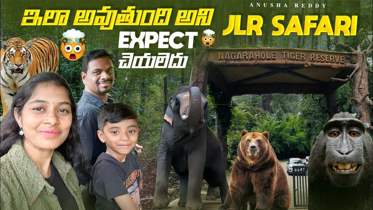 Nagarahole Tiger Reserve 🐯 | Best Wildlife Safari in South India | JLR Kings sanctuary | Karnataka