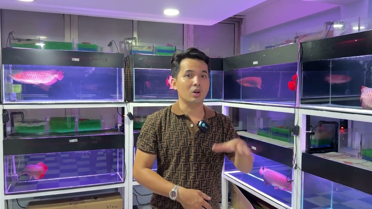 Setup vật liệu lọc như nào là chuẩn?