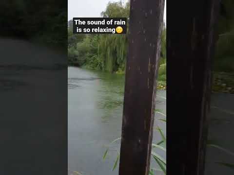 Wet day in