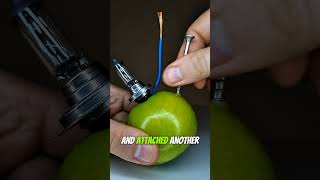 Powered a Light Using an Apple… No Battery!