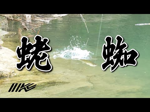 【三原直之】夏の蛯と蜘蛛