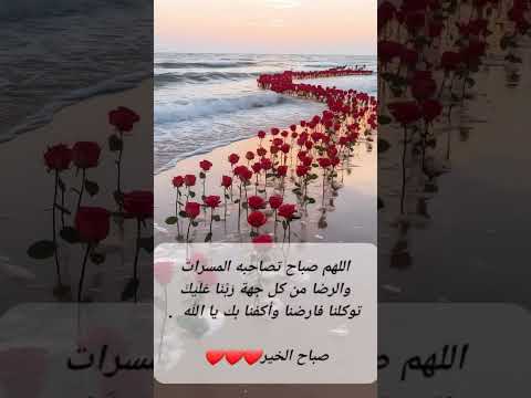 دويتو الرحمن لايك المصحف تيك توك النظافه صباح الخير البرزخ  ابلور القزابري الورقات