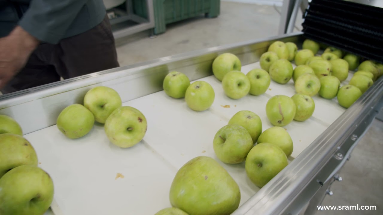 Purée Production Process I SRAML Fruit Purée Processing Line