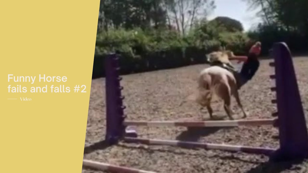funny horse fails/falls 2 mycutebrownpown YouTube