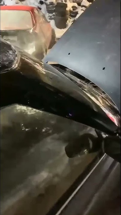 Илья Полищук (Instagram stories от 14.12.21) - YouTube