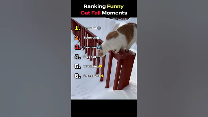 Video 11634101: mainecoon cat funnycat, funniest cat fails