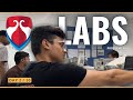 Labs in bennett university   vlog 2    10 day vlog series