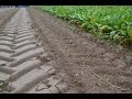 Instrukcja pobierania prbek glebowych