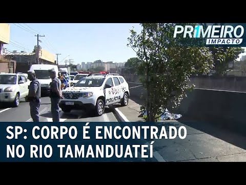 Mulher é encontrada morta no rio Tamanduateí, em São Caetano (SP) | Primeiro Impacto (17/06/22)