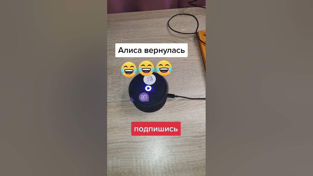 Алиса вернись 5. Алиса вернула глаз брандашмыгу. Алиса вернись 5. Алиса вернись 5. Алиса вернись 5.