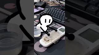 Dọn dẹp #cleaning #dondep #clean #admr