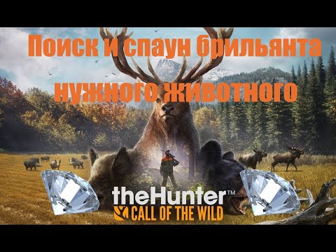 Видео: theHunter: Call of the Wild.Поиск и спаун брильянта нужного животного.