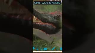 Lmao I Got Attacked By A Sarco