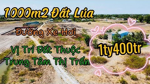 Đất Cần Giuộc / 1000m2 Đất Lúa Giá Rẻ Đường Xe Hơi Khu Vực Trung Tâm Thị Trấn Mở Rộng