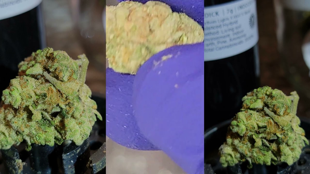WildFlower Hemp Co - Ridick Strain Unbox & Review