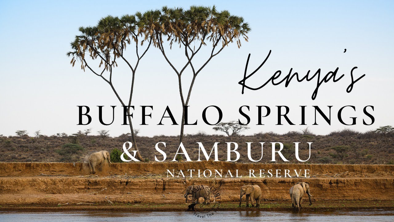 Buffalo Springs & Samburu National Reserve, one of the famous Safari ...