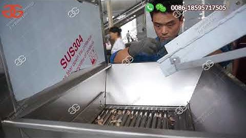 Automatic Garlic Processing Plant Equipment Garlic Peeling Machine Production Line Video