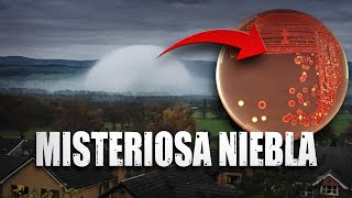 La Extraña Neblina Que Está Preocupando Al Mundo