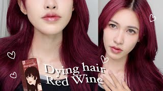 ย้อมผมสีแดงไวน์ด้วยตัวเอง🍷 i dyed my hair red wine + รีวิว Kota | sherrypim