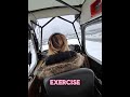 Flight instructor POV #flight #aviation #flightinstructor #airplane #flying #pilot Like & subscribe!
