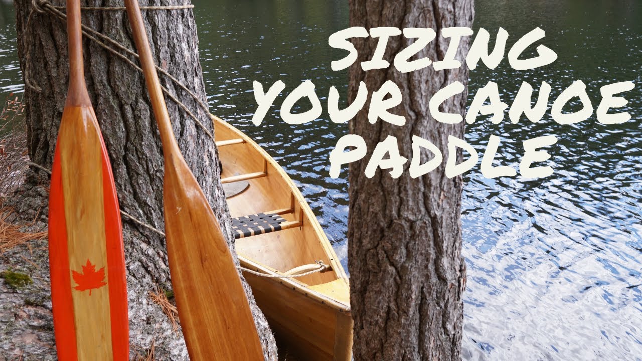 Canoe Paddle Length Vs Height at Ronald Fears blog
