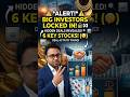 Latest Bulk Deals Hidden Gems To Watch Now!💎 #smallcapstocks #pennystocks #stockmarketnews #bulkdeal