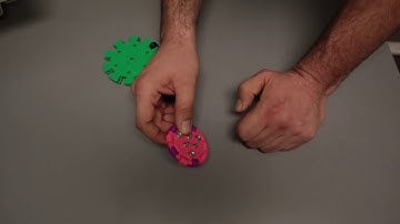 3D printed omni wheel robot
