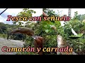 pesca con señuelo CAMARÓN REBEL y carnada