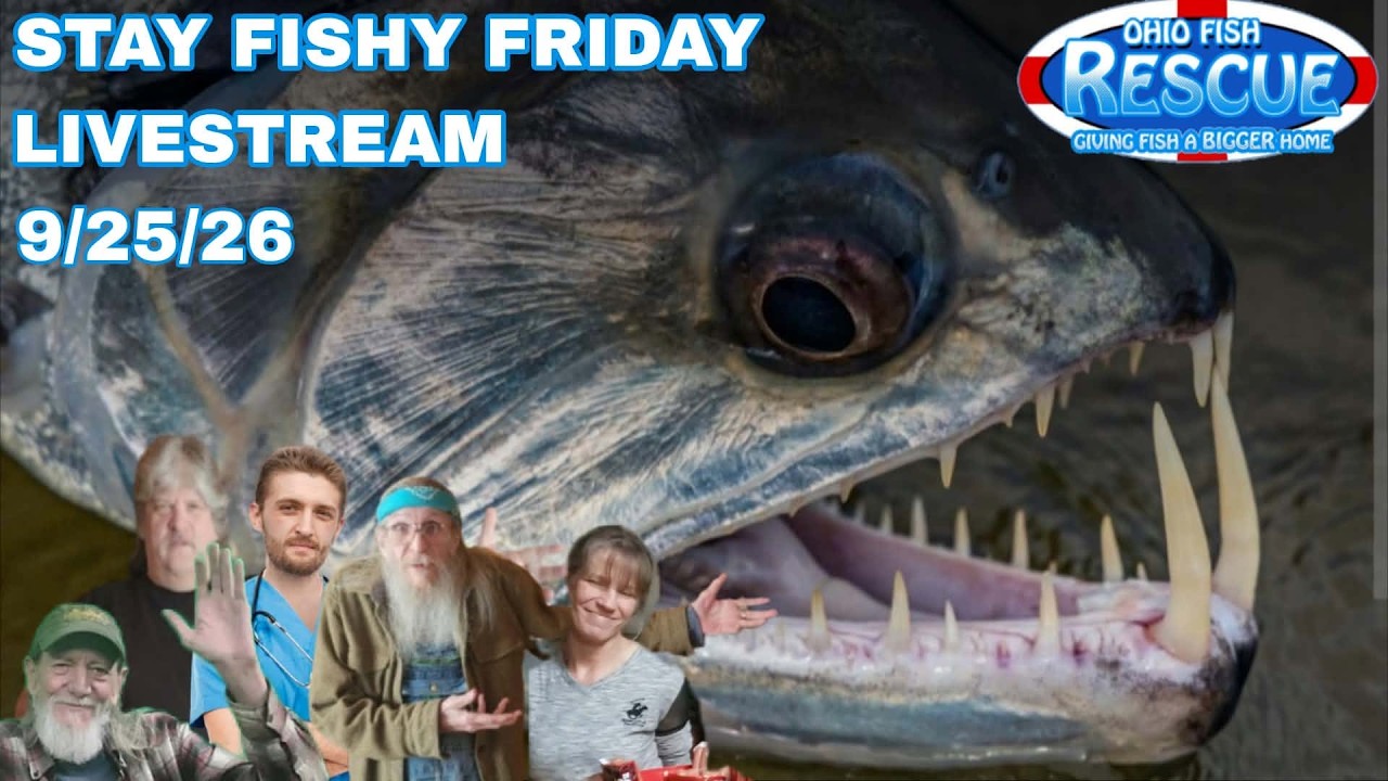 9/25/26 stay fishy livestream