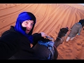 SUNRISE CAMEL ADVENTURE - Merzouga Desert, Morocco