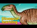 Dinosaur Jinzhousaurus Collection | herbivorous dinosaur Jinzhousaurus | 공룡 진조우사우루스