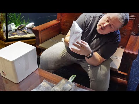 RARE FISH Unboxing and Store Expansion Update