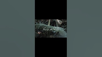 ومن الناس من يقول آمنا بالله فإذا أوذي في الله جعل فتنة | الآية 10 من سورة العنكبوت